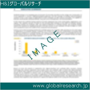 グローバルリサーチ調査レポートのイメージ